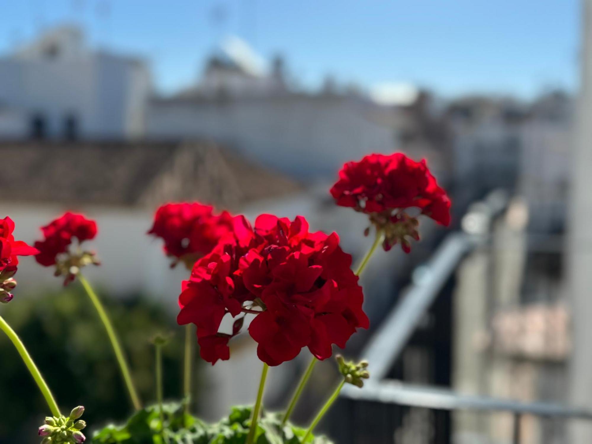 Encantadora Casa En El Corazon De Estepona Eksteriør billede