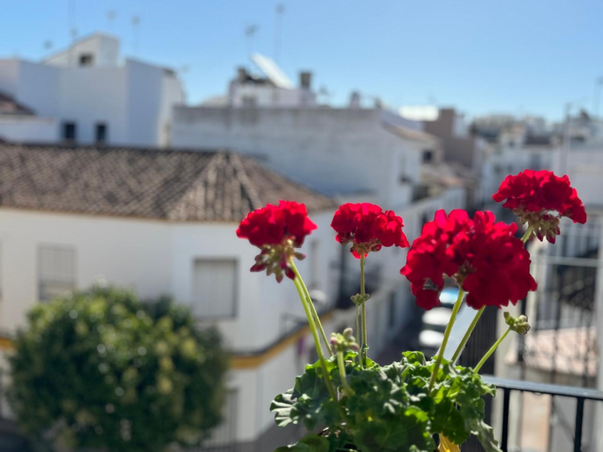 Encantadora Casa En El Corazon De Estepona Eksteriør billede
